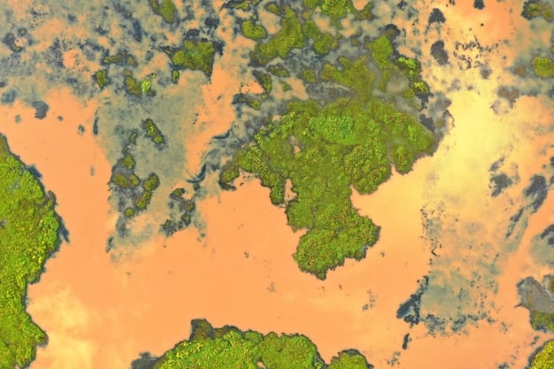 A heatmap overlay on the Summoner's Rift map, showing the most frequented jungle paths by different jungler archetypes (e.g., early gankers, power farmers) in patch 14.28.