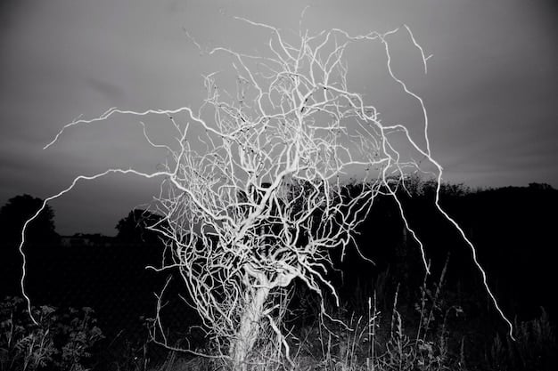 A display showing the Domination rune tree with a focus on Electrocute and Dark Harvest. The image emphasizes the visual differences and updated descriptions for patch 14.26.